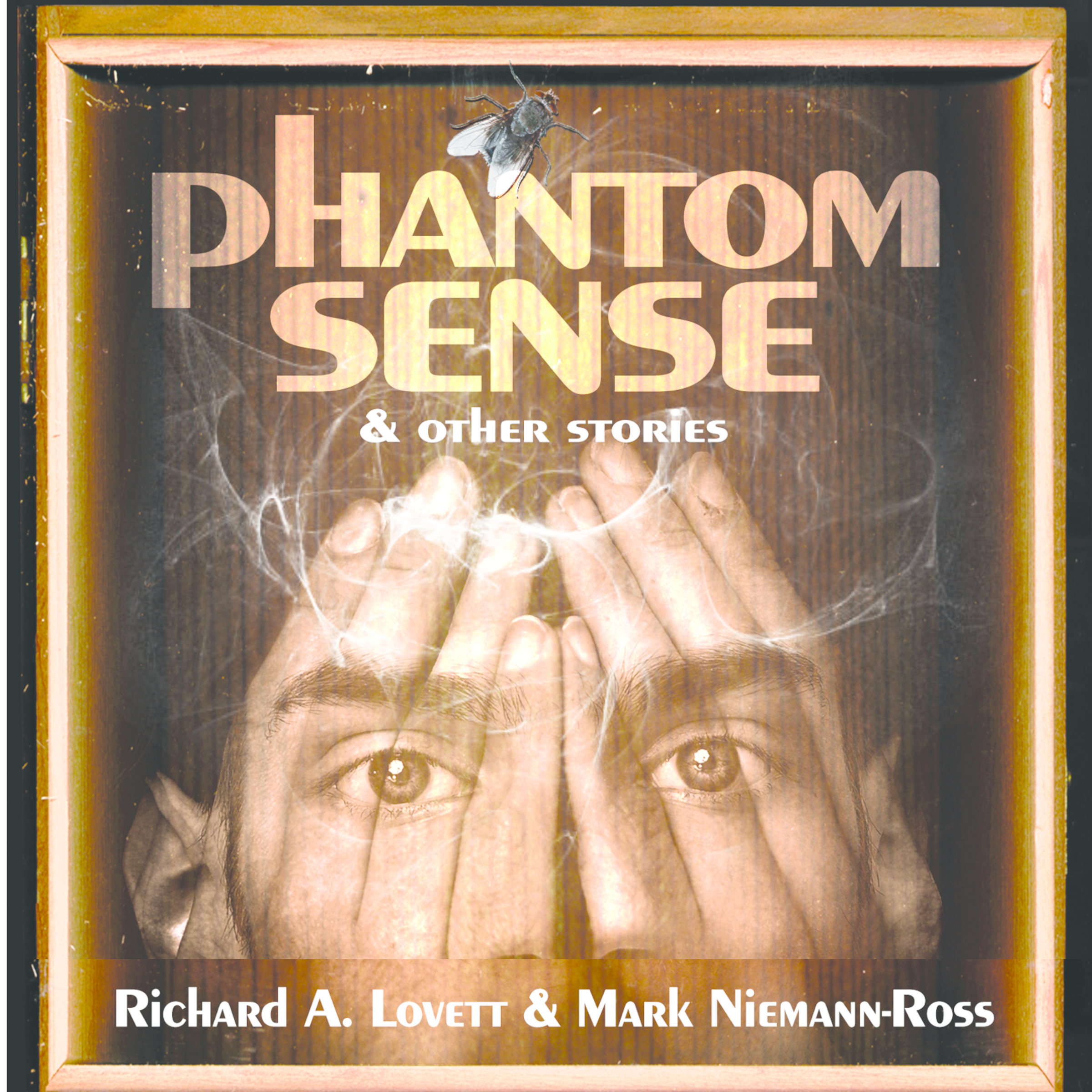 phantom-sense-and-other-stories-mark-niemann-ross