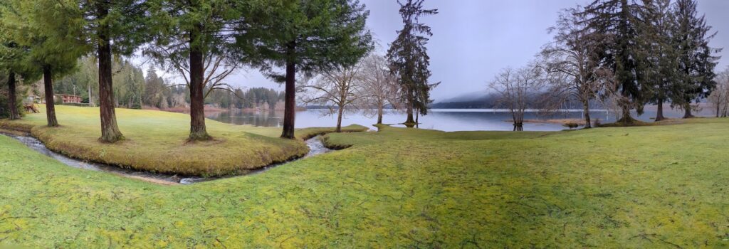 Lake Quinault as seen from the Rainforest Writers Village